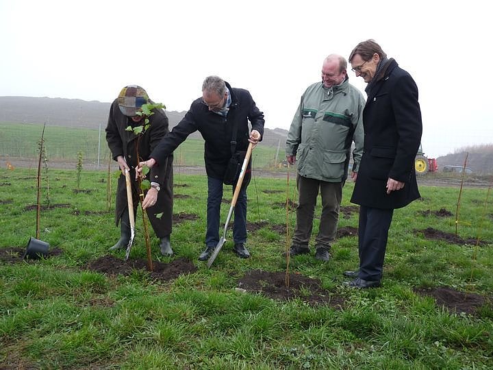 Begr&uuml;nung der R&uuml;ckstandshalde