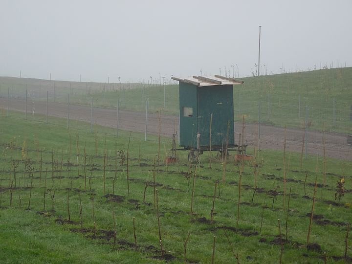 Begr&uuml;nung der R&uuml;ckstandshalde