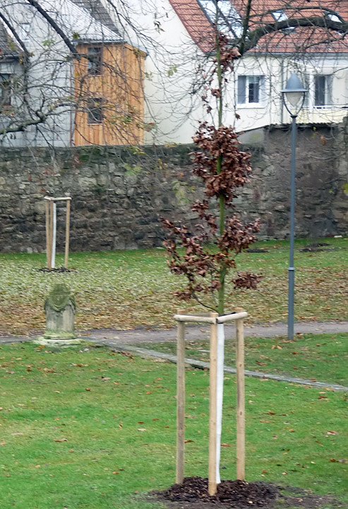 Neues vom Gottesacker