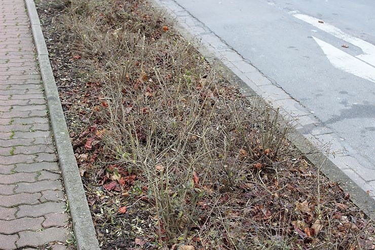 F&uuml;r mehr Verkehrssicherheit
