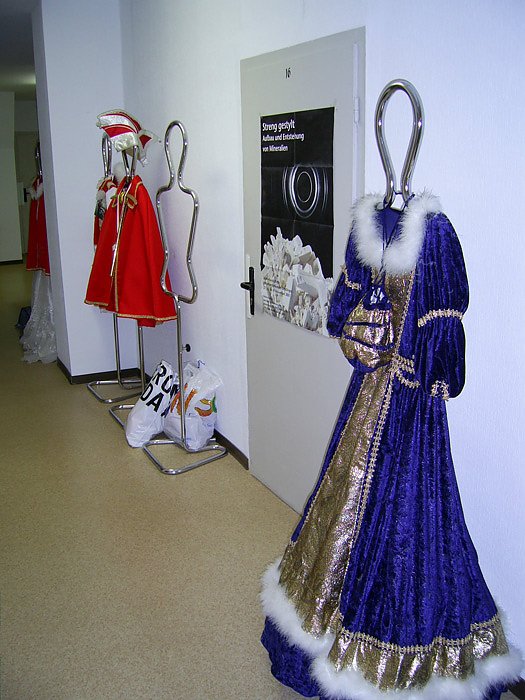 Fasching im Regionalmuseum
