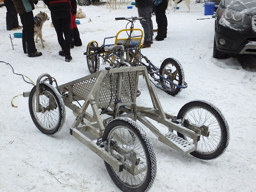 Schlittenhunderennen in Benneckenstein