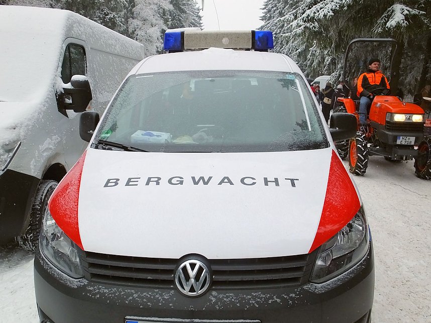 Schlittenhunderennen in Benneckenstein