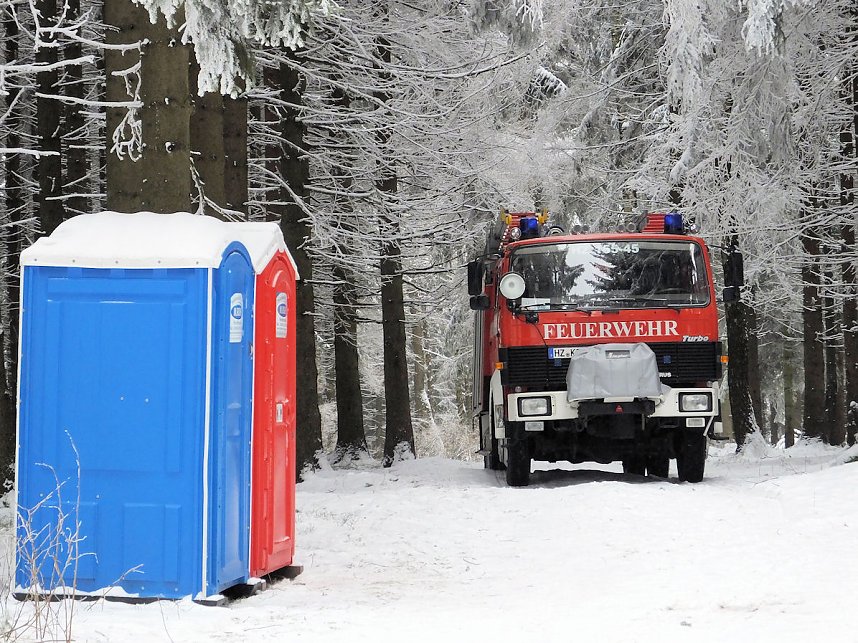 Schlittenhunderennen in Benneckenstein