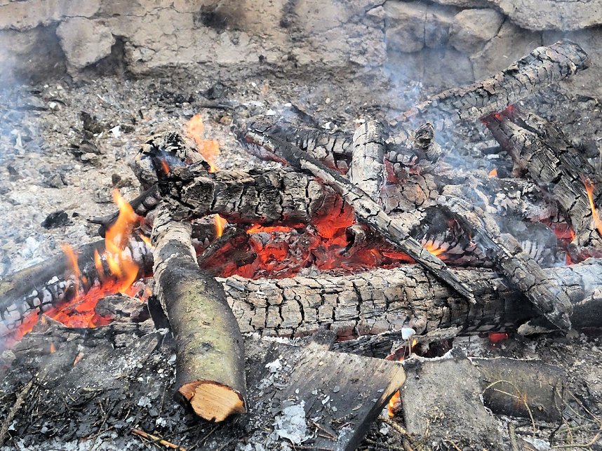 Schlittenhunderennen in Benneckenstein