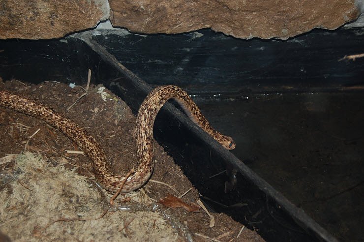 Nanderwanderung im  Nordh&auml;user Zoo nnz-City Scout on Tour