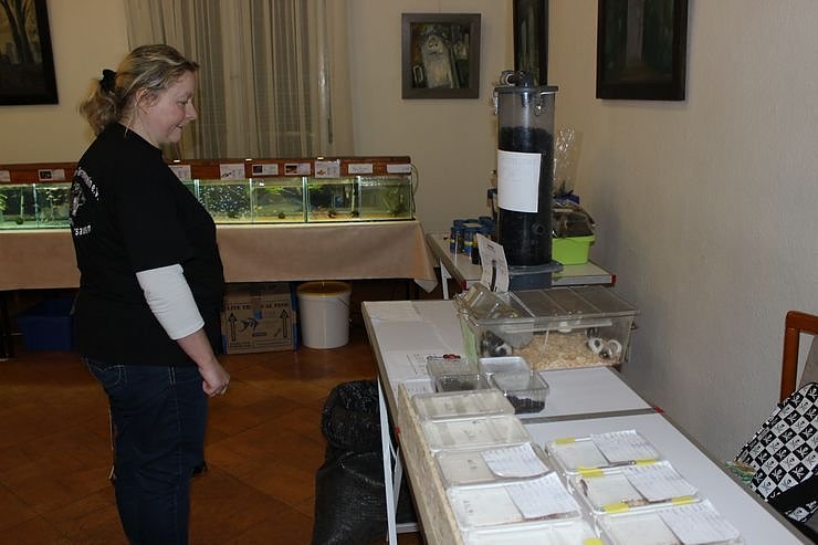 Zierfischb&ouml;rse und Terrarienb&ouml;rse...