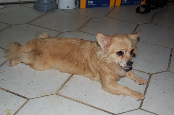 Nanderwanderung im  Nordh&auml;user Zoo nnz-City Scout on Tour