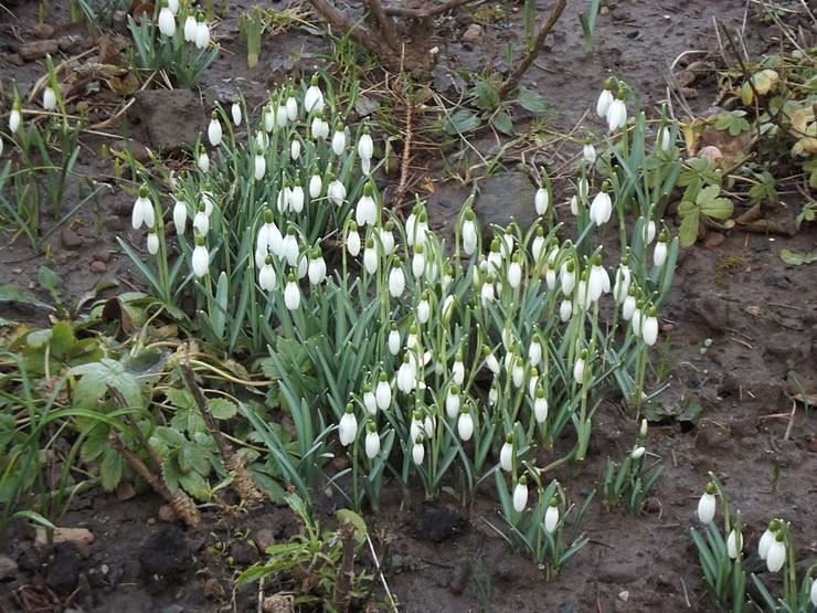 War�s das jetzt mit dem Winter?!