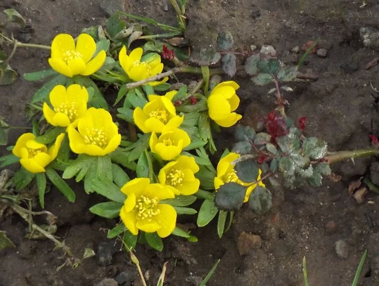 War�s das jetzt mit dem Winter?!