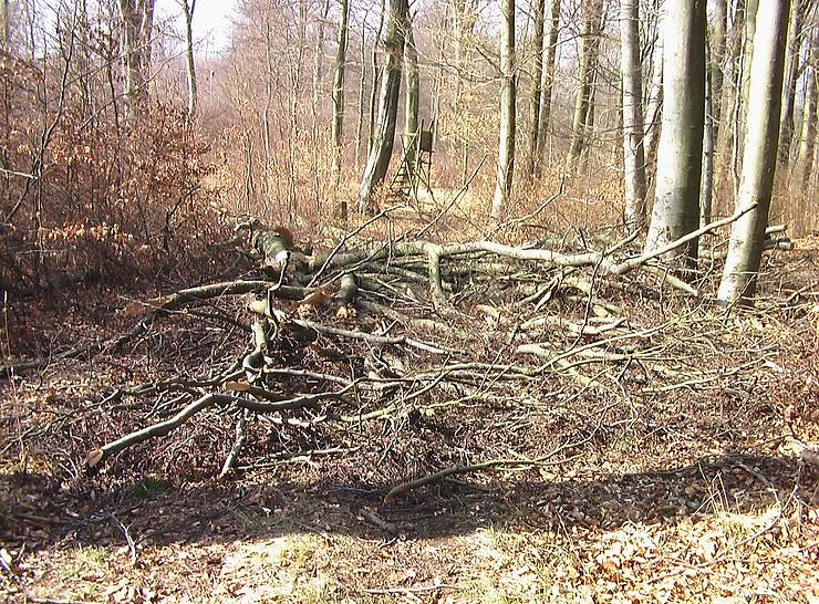 Steinberg-Rundweg meiden