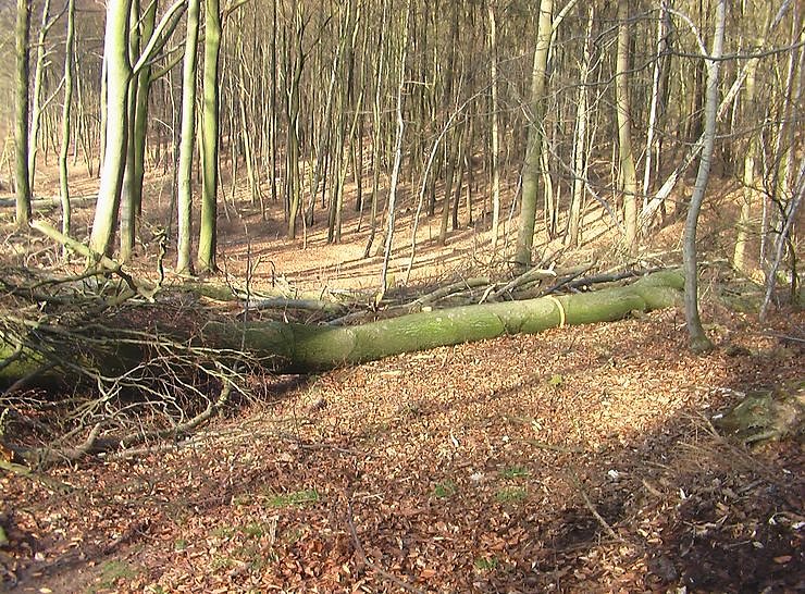 Steinberg-Rundweg meiden