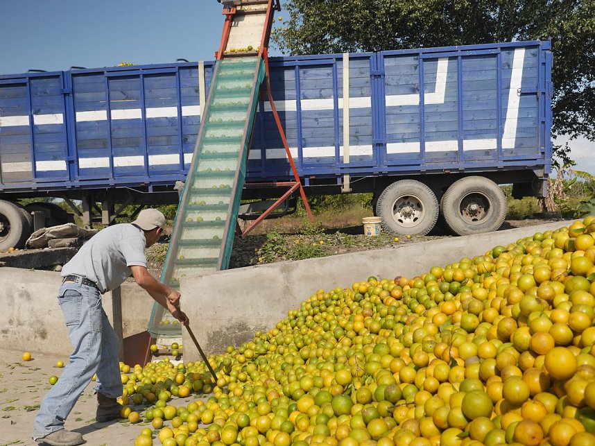 Fairtrade entt&auml;uscht