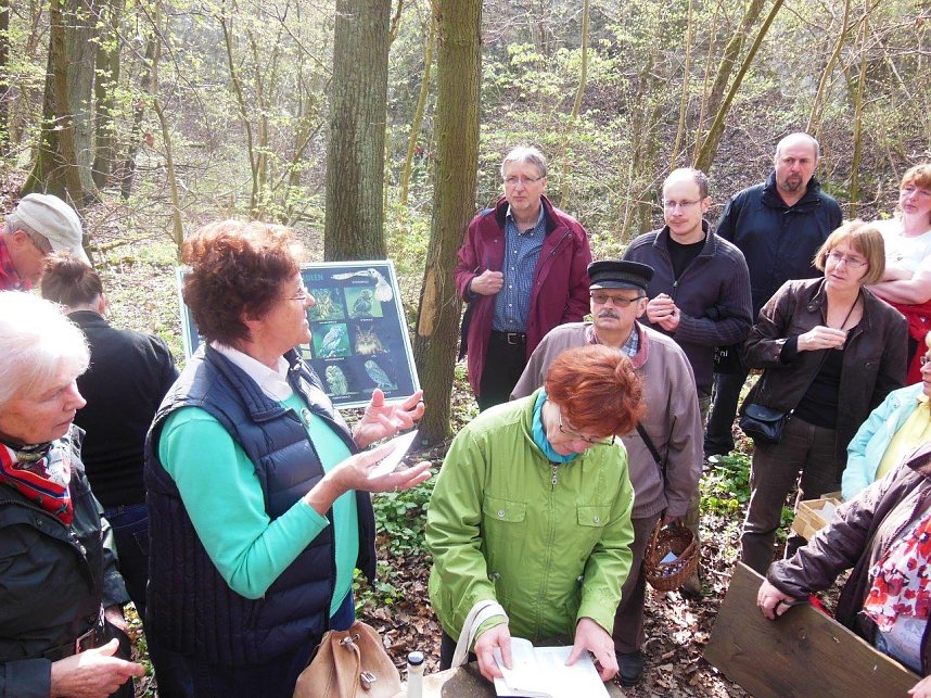 Wildkr&auml;uterwanderung im S&uuml;dharz