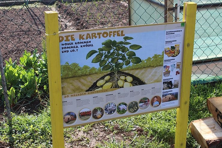 Kindern Natur nahe bringen