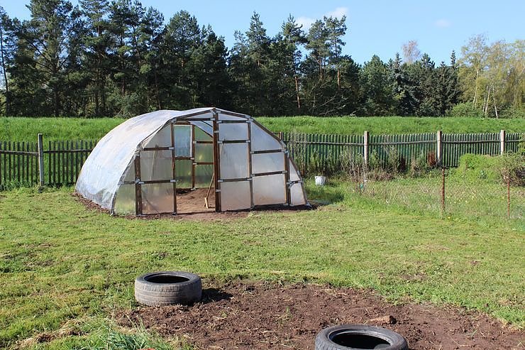 Kindern Natur nahe bringen