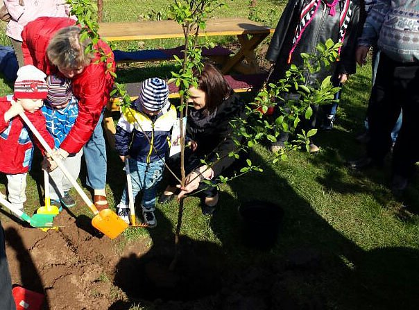 Fertigstellung des Projektes Zwergengarten