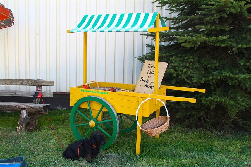 Reitturnier in Immenrode