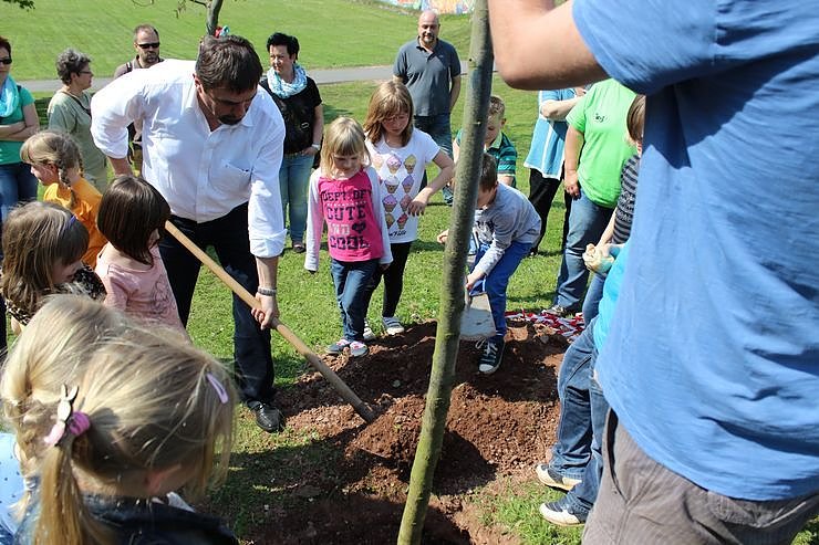 Zum Fest einen Baum gepflanzt