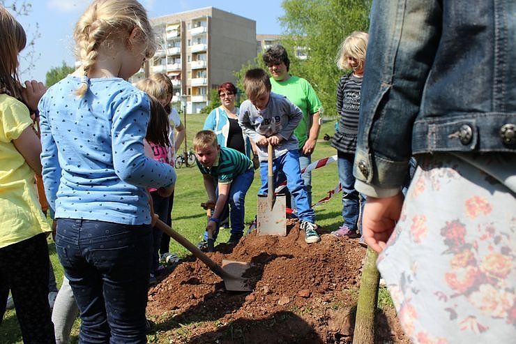Zum Fest einen Baum gepflanzt