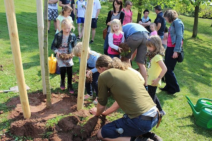 Zum Fest einen Baum gepflanzt