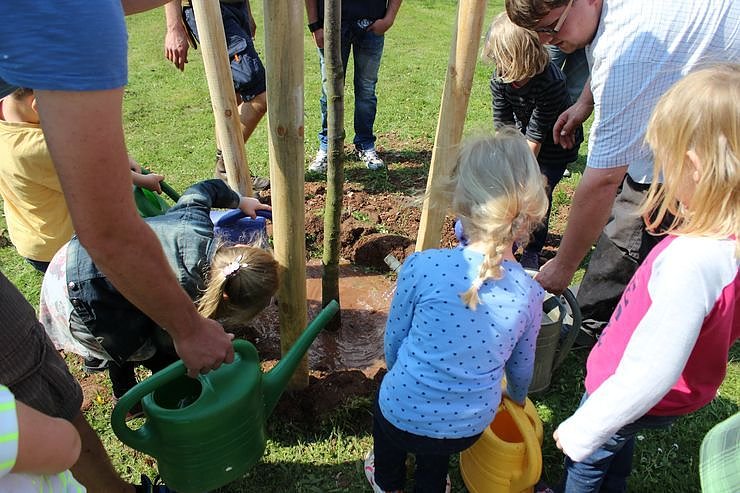 Zum Fest einen Baum gepflanzt