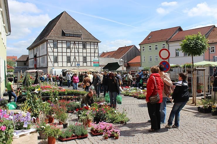 Gesund, fair und nachhaltig leben