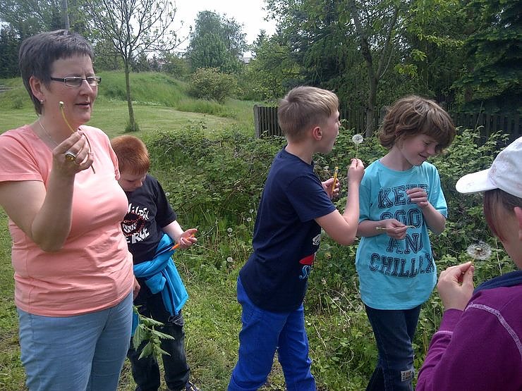 Mit offenen Augen durch die Natur