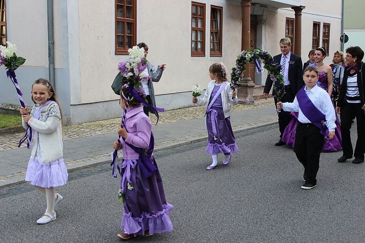 Fliederkrone gesetzt