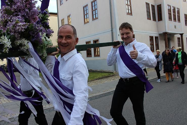 Fliederkrone gesetzt