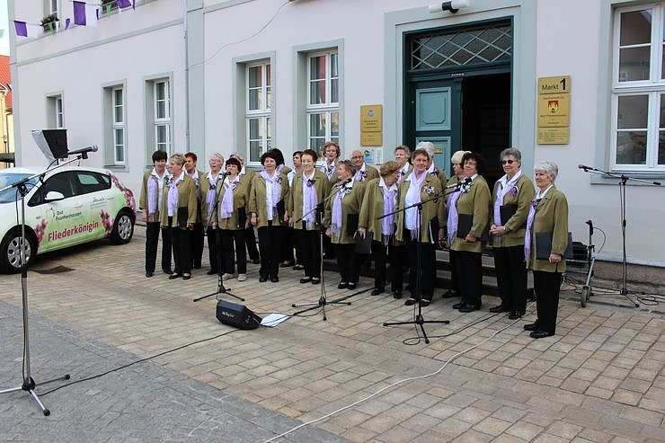 Fliederkrone gesetzt