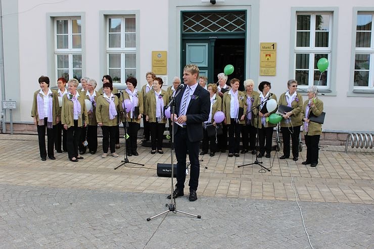 Fliederkrone gesetzt