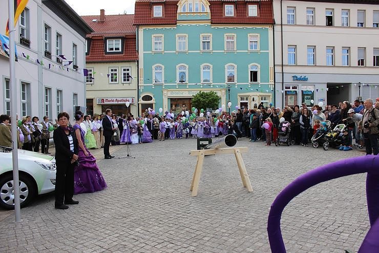 Fliederkrone gesetzt