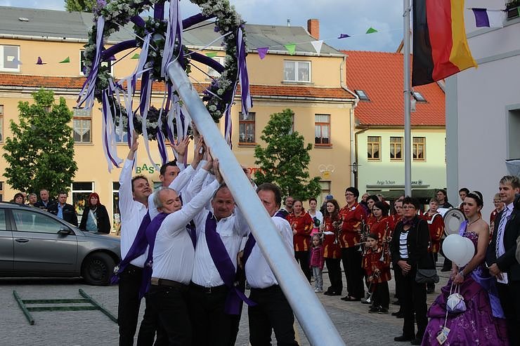 Fliederkrone gesetzt