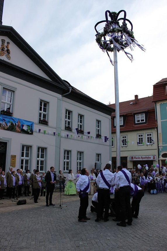 Fliederkrone gesetzt