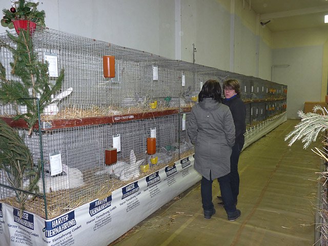 Rassekaninchenschau Kyffh&auml;userkreis