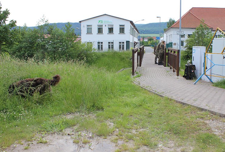 Tiersch&uuml;tzer mit Aktion