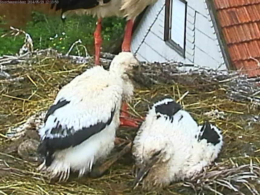 Und da waren es nur noch zwei