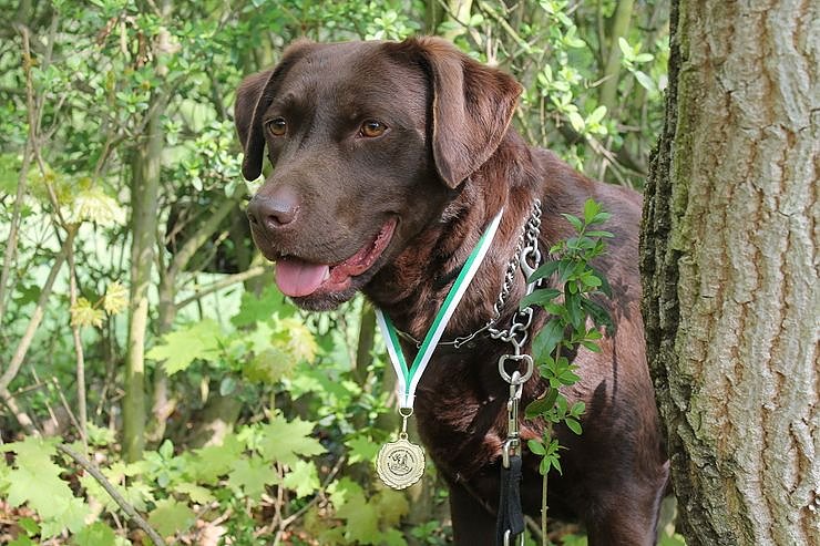 Kyffh&auml;userberglauf 2014 � ein tolles Erlebnis