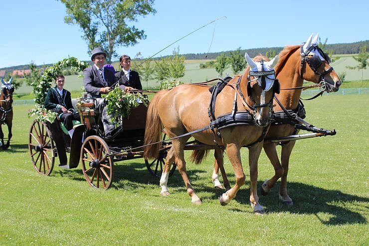 Laubk&ouml;nig gekr&ouml;nt