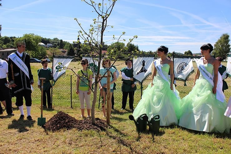 Laubk&ouml;nig gekr&ouml;nt