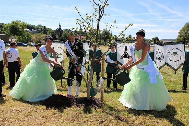 Laubk&ouml;nig gekr&ouml;nt