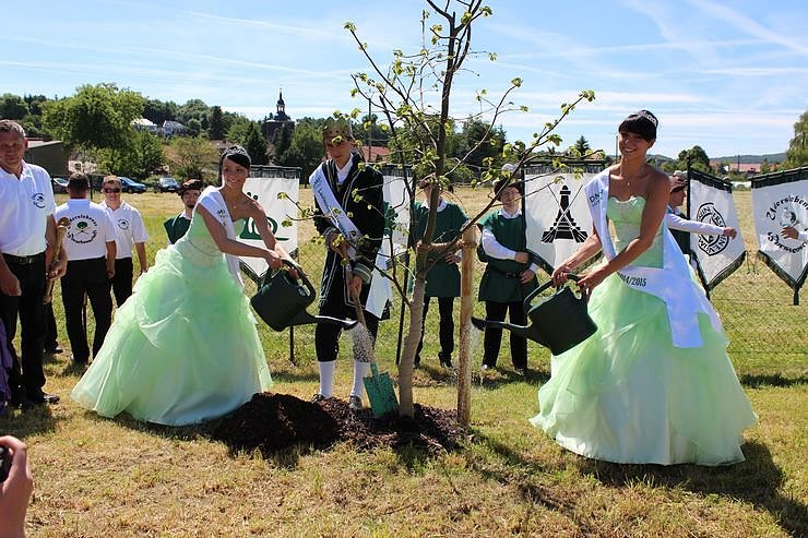 Laubk&ouml;nig gekr&ouml;nt