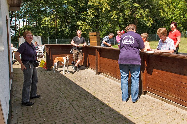 Der Tag des Hundes...