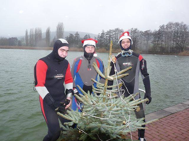 Weihnachtstauchen im Bebraer Teich