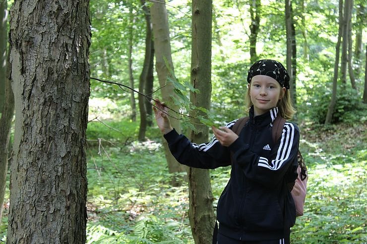 Waldjugendspiele am Rathsfeld