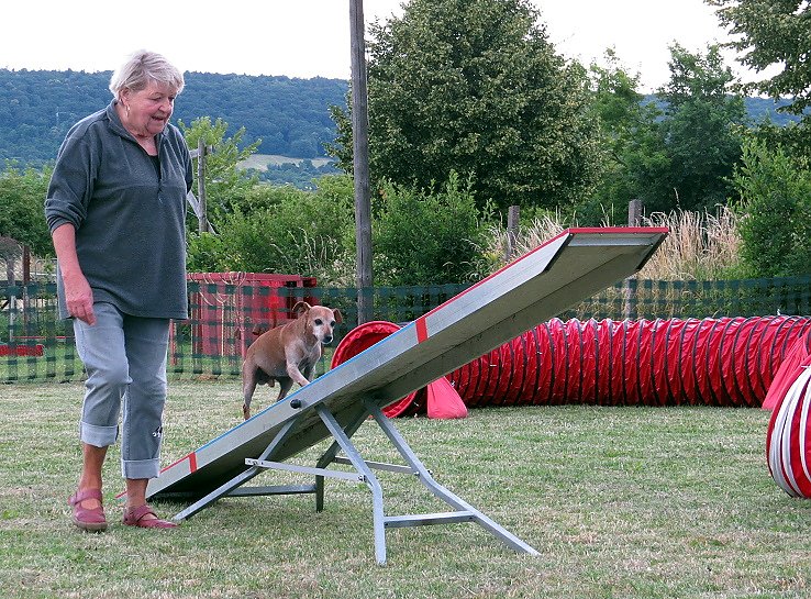 Mal etwas anderes f&uuml;r...