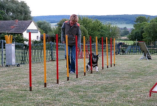 Mal etwas anderes f&uuml;r...