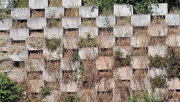 "Kohle" f&uuml;r den G&ouml;ldner