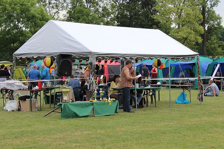 Terrier nichts als Terrier